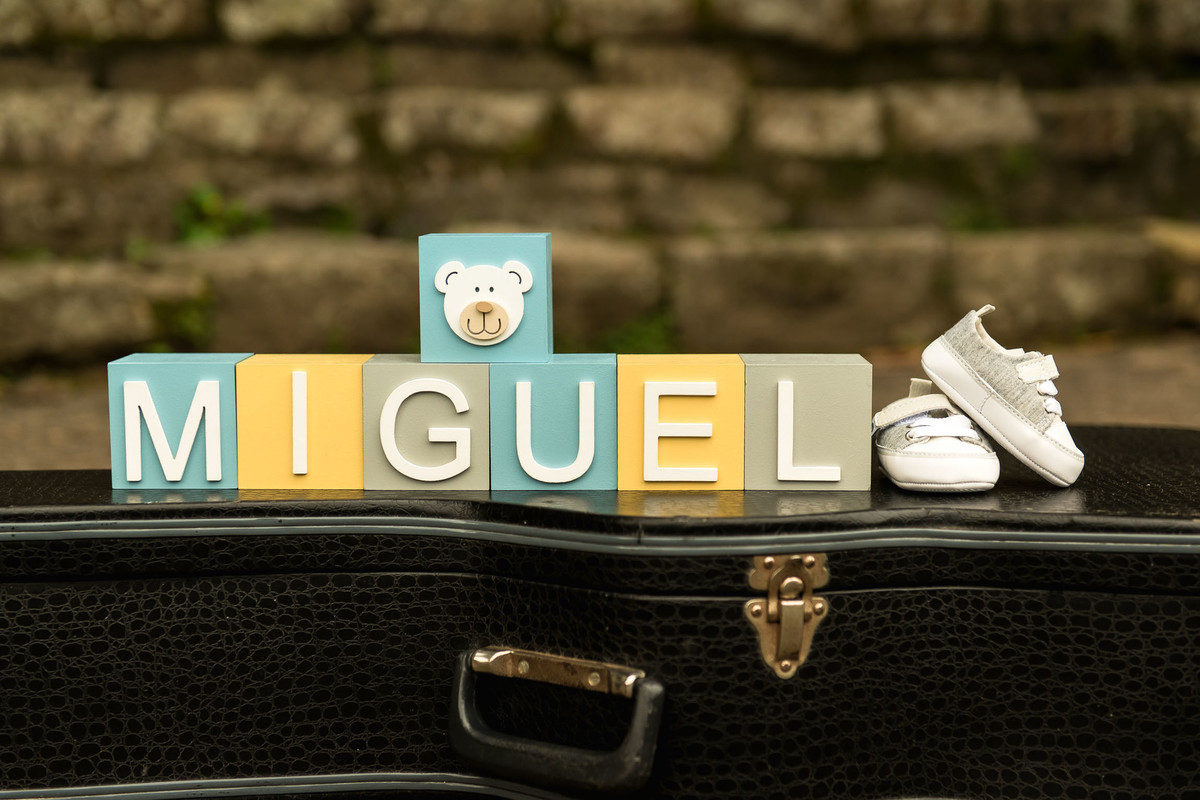 nome miguel em cima de case de violão no jardim botanico em sao paulo